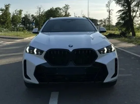 BMW X6 30d xDrive Image 1