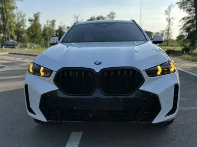 BMW X6 30d xDrive Image 7